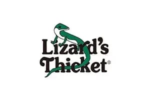 Lizards Thicket Lizards Thicket